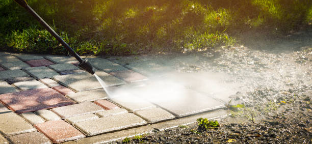 Best Animal Enclosure Cleaning  in Lancaster, SC